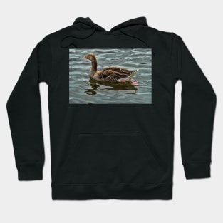 Greylag goose wroxham broad Hoodie